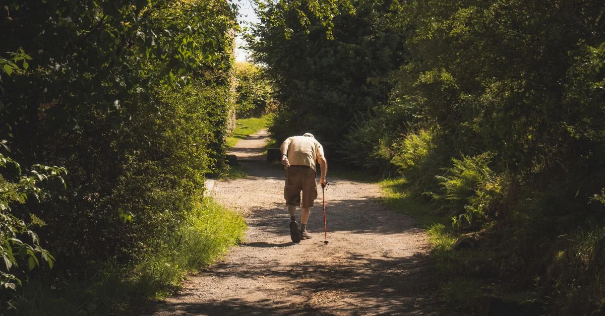 Un homme âgé marchant avec une canne le long d'un chemin forestier ombragé par une journée ensoleillée.